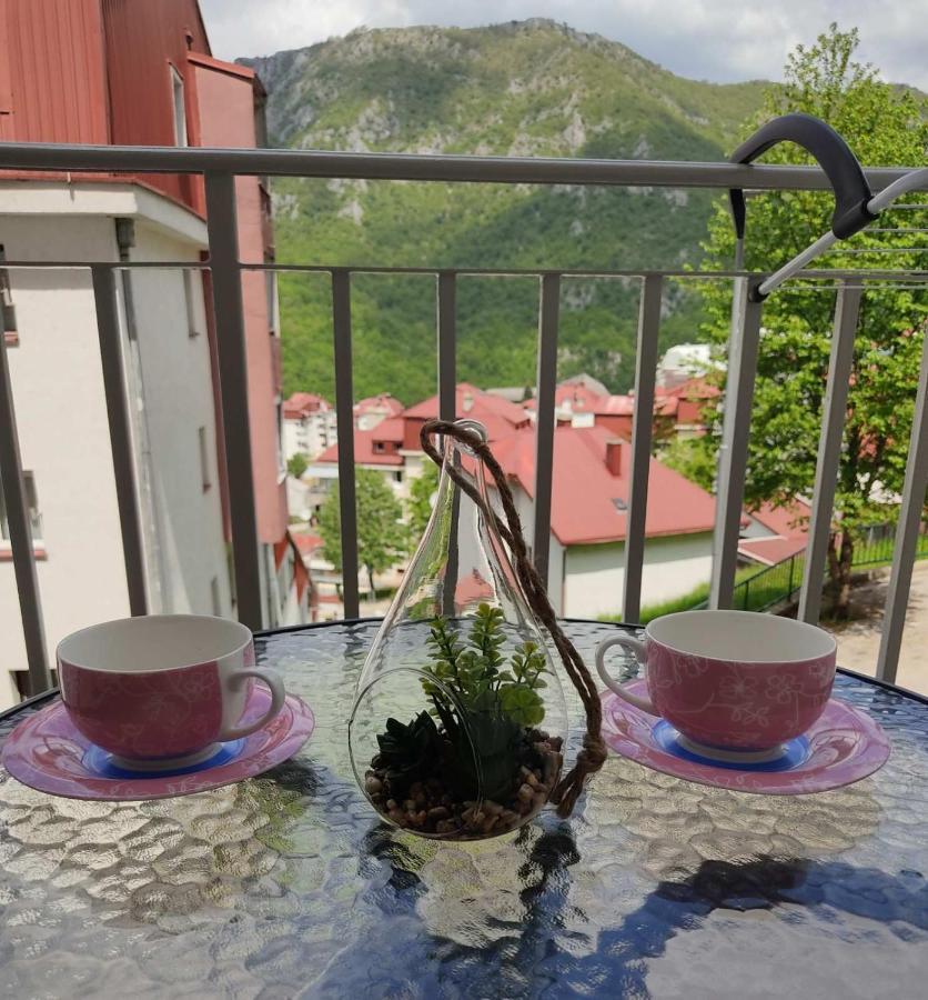 Apartman Andjela Pluzine Exterior photo